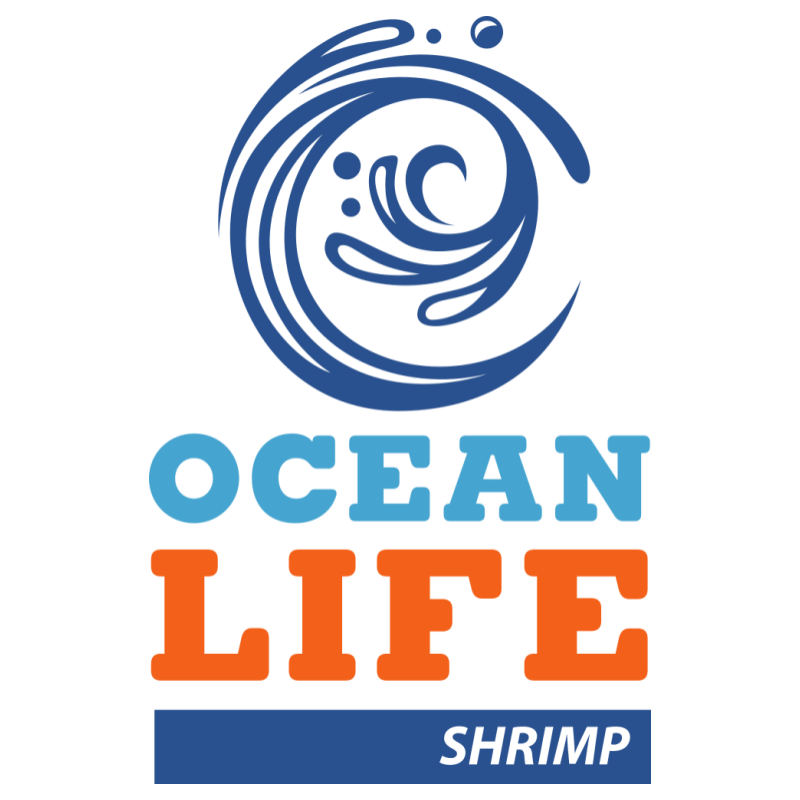 Ocean Life Shrimp-min